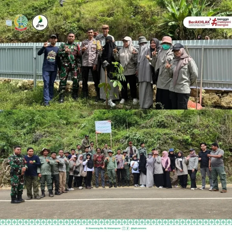 Kegiatan Penanaman Bibit Produktif