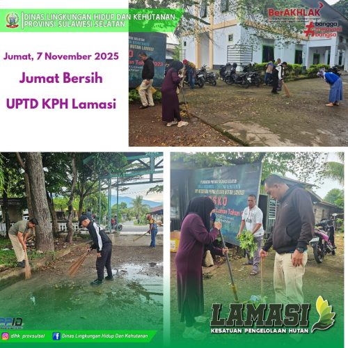 WhatsApp-Image-2025-11-07-at-08.41.27